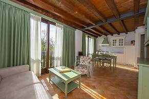 Mimosa in Hilly Area