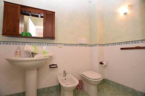 Mimosa in Hilly Area