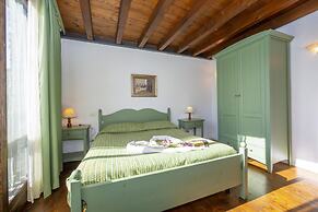 Mimosa in Hilly Area