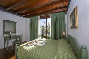 Mimosa in Hilly Area