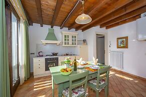 Mimosa in Hilly Area