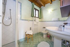 Mimosa in Hilly Area