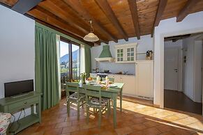 Mimosa in Hilly Area