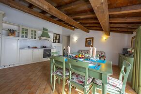 Violetta in Hilly Area