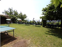 Violetta in Hilly Area