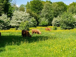 Well-maintained Chalet Near Amsterdam