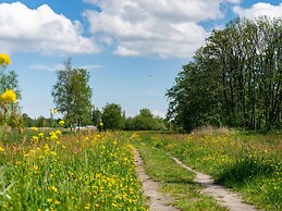 Well-maintained Chalet Near Amsterdam