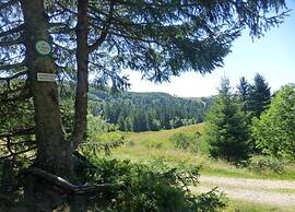 Chalet in La Bresse With Valley Views