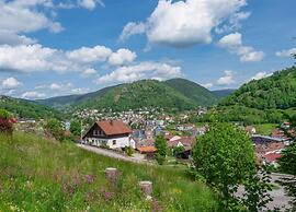 Chalet in La Bresse With Valley Views