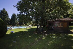 Rododendro Rosso in Ispra