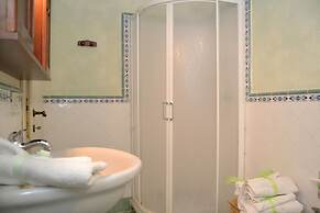 Orchidea in Hilly Area