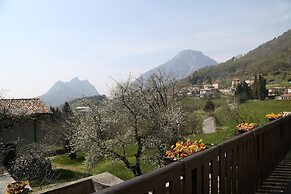 Orchidea in Hilly Area