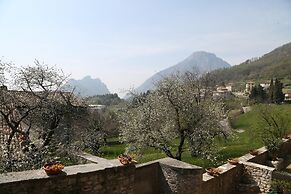 Orchidea in Hilly Area