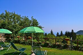 Orchidea in Hilly Area