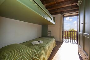 Orchidea in Hilly Area