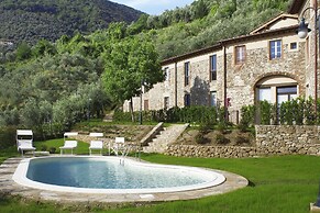 Tiglio Grillo in Camaiore