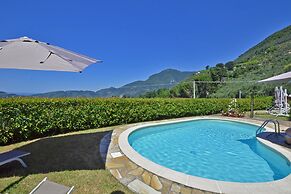 Tiglio Grillo in Camaiore