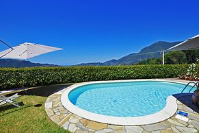 Tiglio Grillo in Camaiore