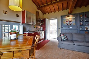 Tiglio Grillo in Camaiore