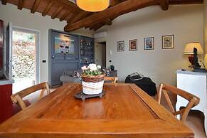 Tiglio Grillo in Camaiore