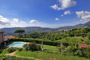 Tiglio Grillo in Camaiore