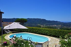 Tiglio Grillo in Camaiore