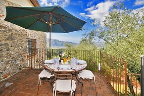 Tiglio Grillo in Camaiore