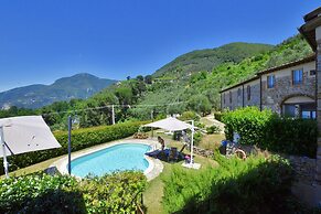 Tiglio Grillo in Camaiore