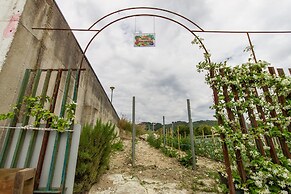 Villa Salemi With Pool