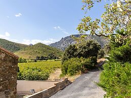 Pleasant Gite With Garden in the Vineyards