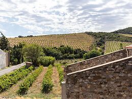 Pleasant Gite With Garden in the Vineyards