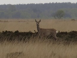 Comfortable Chalet Near National Park