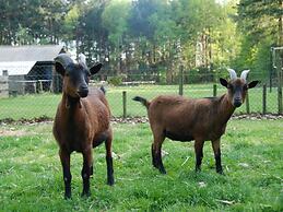 Comfortable Chalet Near National Park