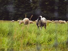 Cozy Bungalow With Dishwasher, in a Holiday Park on the Veluwe