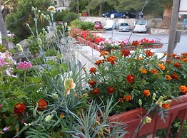 Guest House Sobra 38