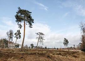 Villa in Someren Near Golf Course