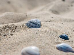 Luxury Dune Villa on a Holiday Park