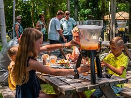 Luxury Dune Villa on a Holiday Park