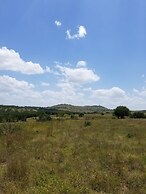 Waylon In The Hill Country - Hacienda Amor