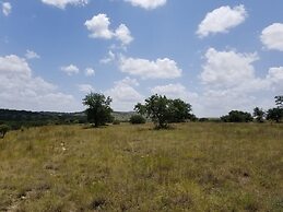 Waylon In The Hill Country - Hacienda Amor