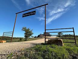 Willie In the Hill Country - Hacienda Amor