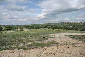 Willie In the Hill Country - Hacienda Amor