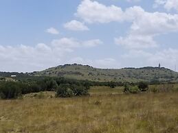 Willie In the Hill Country - Hacienda Amor