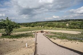 Willie In the Hill Country - Hacienda Amor