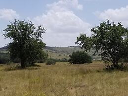 Stevie Ray In The Hill Country - Hacienda Amor