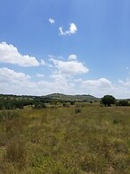 Stevie Ray In The Hill Country - Hacienda Amor