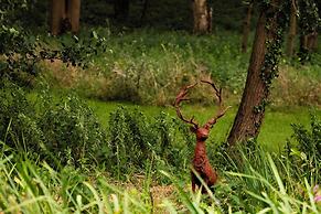 North Norfolk Glamping