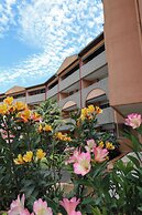 TERRASSES DE BORDA