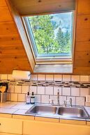 Hawks Nest in Shaver Lake