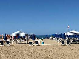 Campsite Chalet Zr28 Tuscany Near sea Viareggio